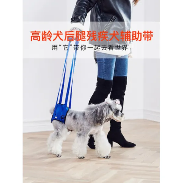 애완용품 슬개골탈구 장애견 다리밴드 휠체어 고령견년 노령개 뒷다리조력병 장애, 마비된 강아지 보조대 척추후지, 02 울트라 블랙 블루, 04 L사이즈를 정확히 측정해죠