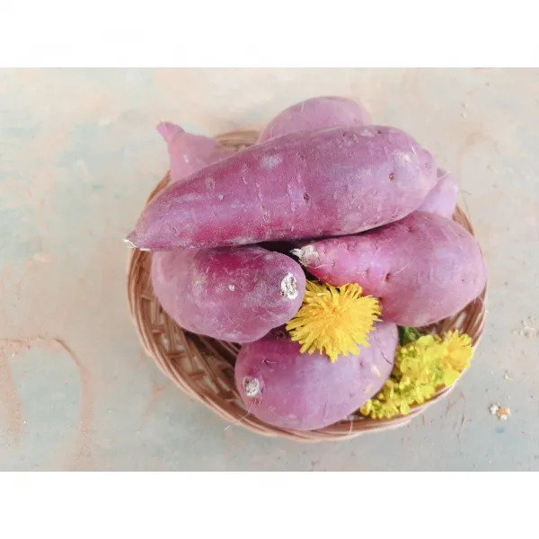 해남다애네농장 산지직송 꿀고구마, 1box, 10kg특상(120g~300g)