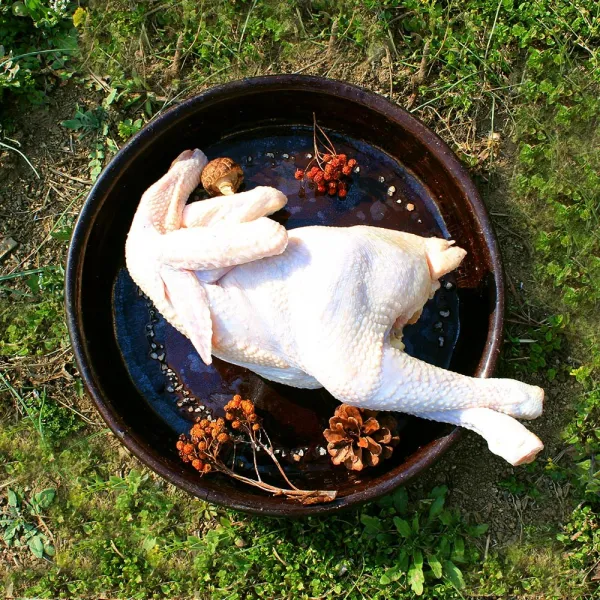 토종닭 백숙용 삼계탕용 생닭 1.5kg~2kg이상, 1개, 16호(1.6kg)