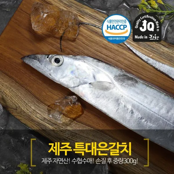 제주SF 제주 은갈치 특대사이즈 300g*6미(총 24토막/총 1.8kg), 1