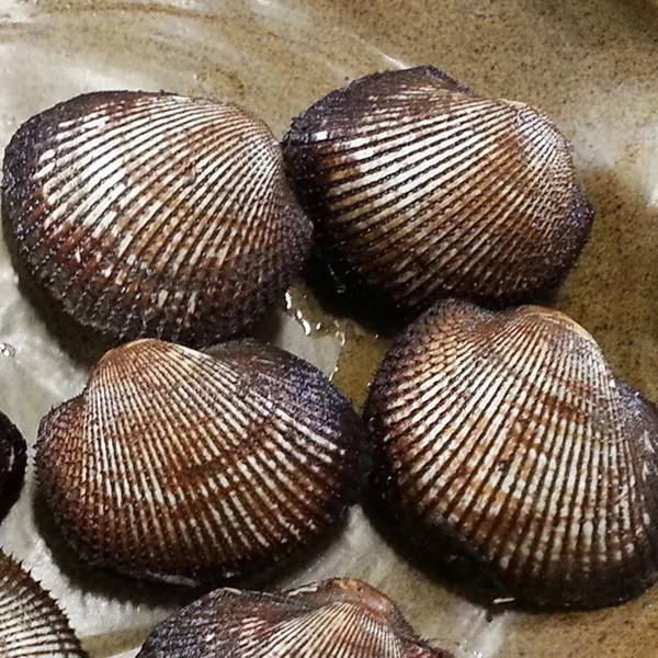 오병이어농산 피꼬막, 피꼬막2kg(중)