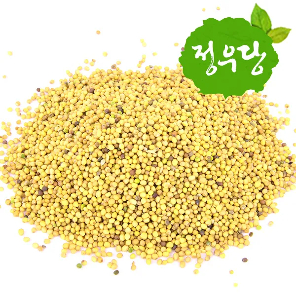 백겨자 겨자씨 백계자, 600g, 1개