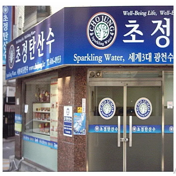 초정탄산수250ml 초정탄산수 250ml 30입 7월7일 생산품 2중포장, 1개, 플레인, 250ml