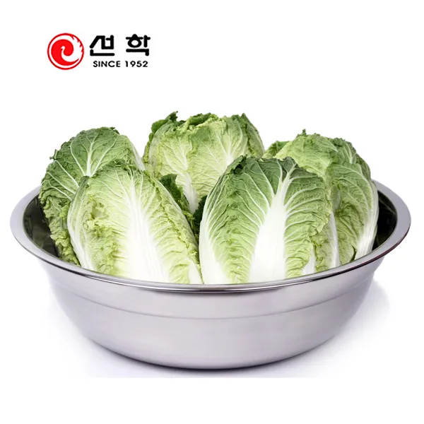 선학 국산 27종 스텐 다라이 대형