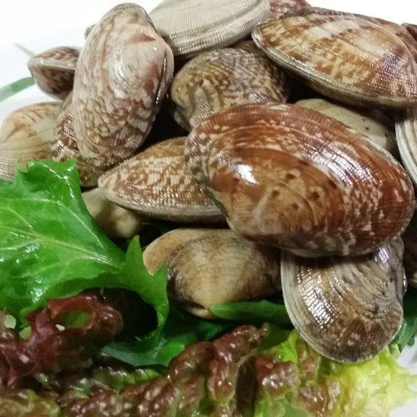 통영애찬 당일출고요리용왕바지락1kg(배송관련설명참고), 1kg