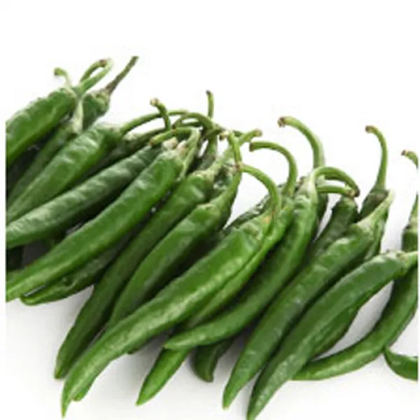 청량고추500g 꽈리 모닝 오이맛고추, 청량고추, 500g