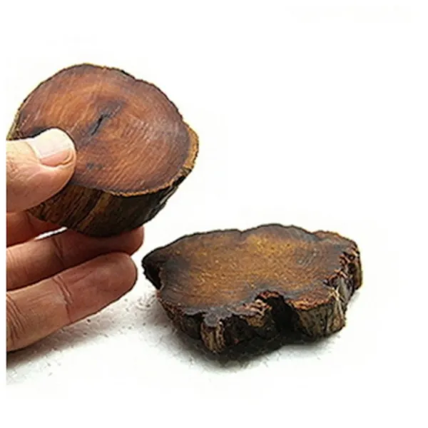 우리동네수족관 절단유목 M 3개 (3cm), 1