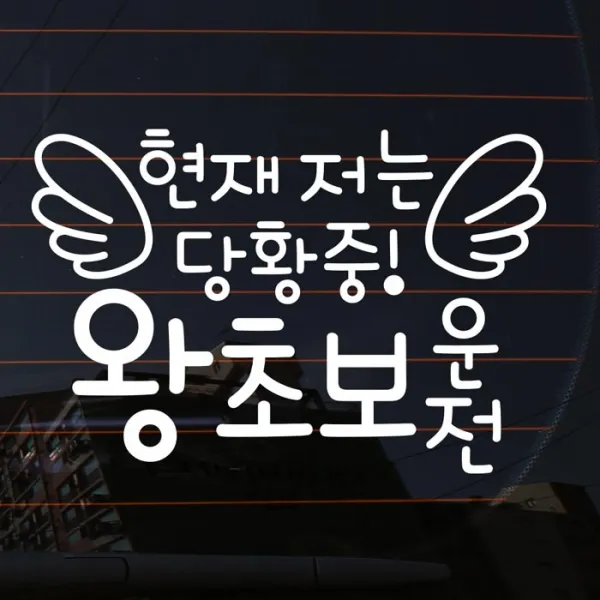 B.타이포, B006 타이포 현재 저는 당황중 왕초보운전