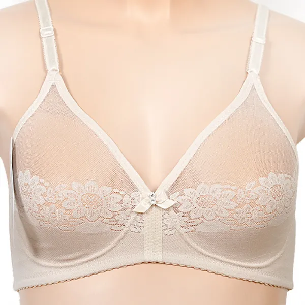 2773 비너스 브라