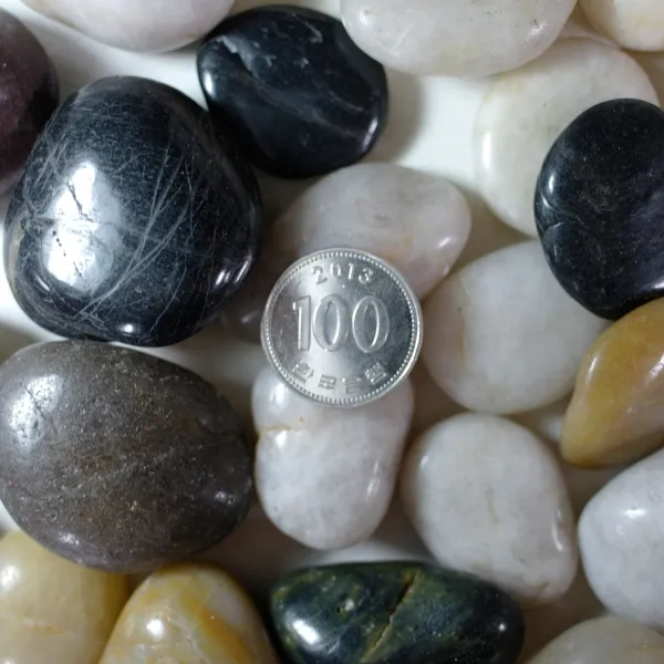 거목 우화석, 10kg, 우화석 중