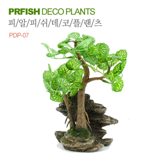 피알피쉬 데코플랜츠 PDP-7, 1개, 1개