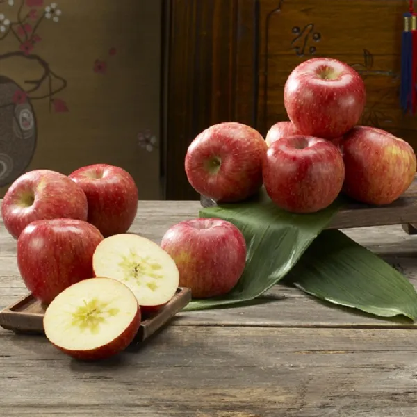 아침햇살 청송사과 정품 5kg, 02정품-B02-5kg(중품)[19~21과]-소과
