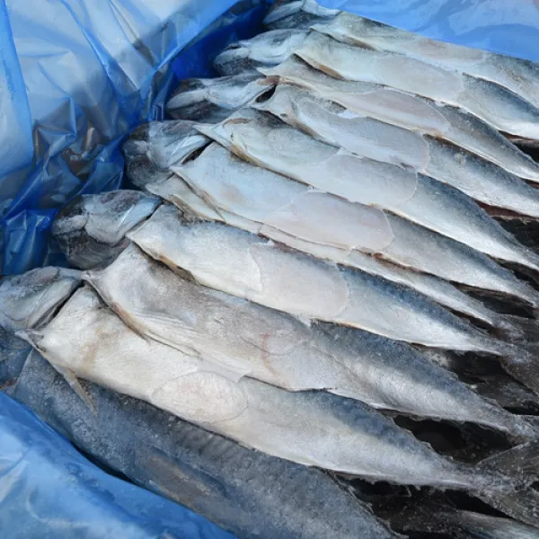 (주)푸드마을 자반고등어 8.8kg내외 고등어, 1개, 자반고등어 8.8kg