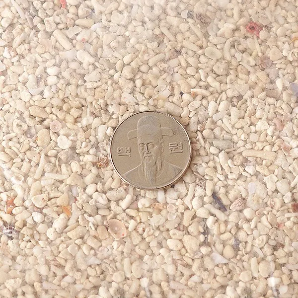 산호사 3~5mm - (산호 해수어바닥재), 단품