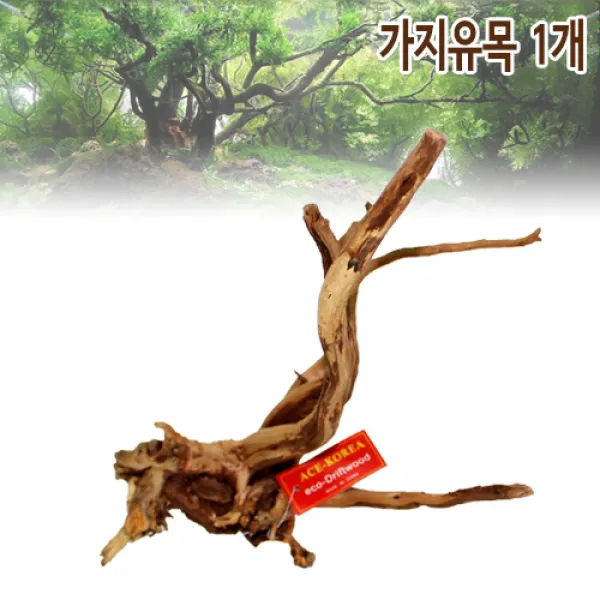 샘아쿠아 에이스 프리미엄 가지 유목 1개 (15~25cm), 15-25cm