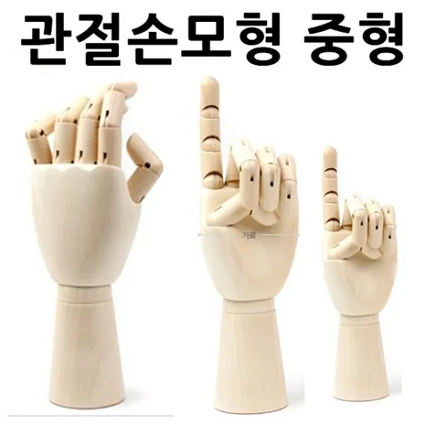 센트리알 관절손모형 중형 손모형 조형물 손골격모형 구체관절인형 목각관절인형