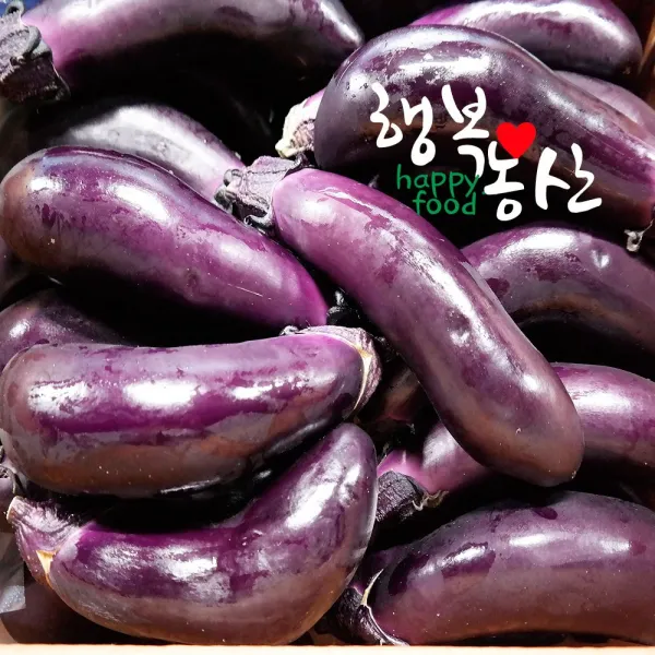 싱싱한 당일작업 가지 2.5~5kg, 1box, 가지(상-못난이)2.5kg내외