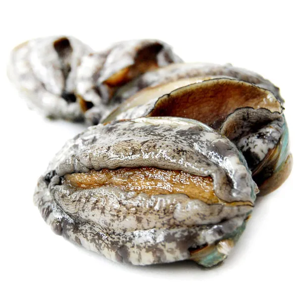 하늘뜰 완도 참 전복 2kg 세트 모음전, 완도 참 전복 2kg(18-20미), 없음