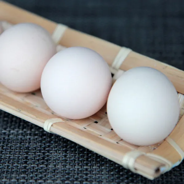 경북 예천군 신선한 백봉 오골계 유정란 (계란 달걀), 1box, 1. 백봉 오골계 유정란 - (10알)