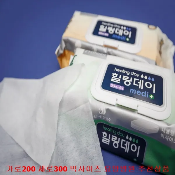 대형큰물티슈 힐링데이 메디플러스 대형 요양병원 성인용, 두툼한64매 20개입