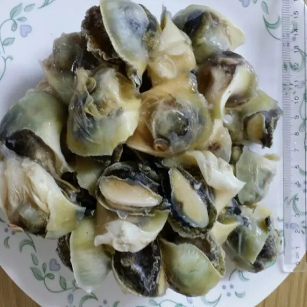 프라임 냉동 참소라살, 1팩, 1kg(40~50개)
