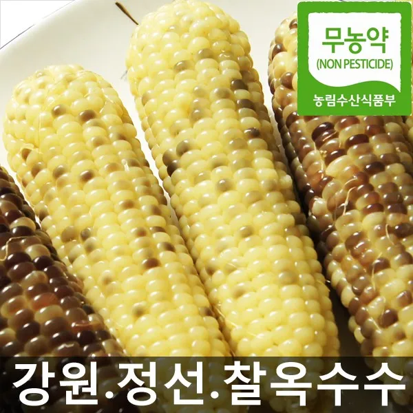 (햇살농원) 강원 정선 흑찰&미백찰옥수수 선택구매_친환경.무농약 농산물, 30개, 강원 정선(토종흑찰)찰옥수수