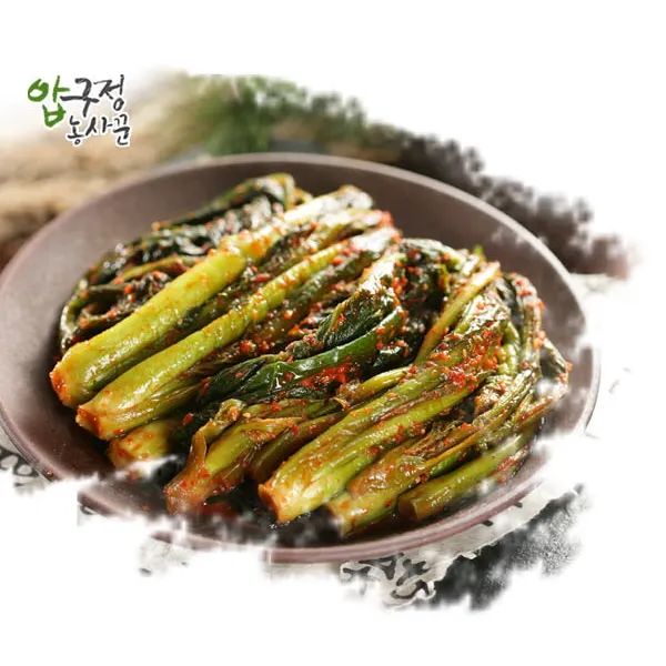압구정 농사꾼 갓김치 2kg, 1개