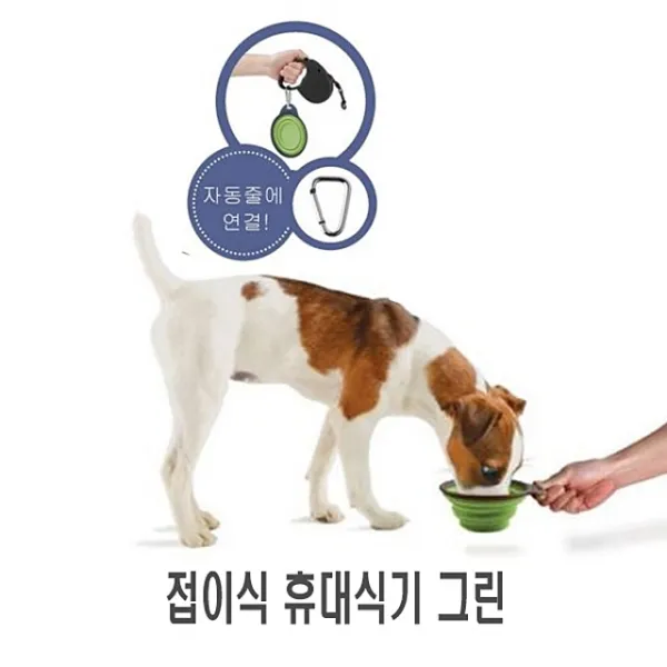 접이식 휴대식기 그린 1p 식기 그릇 급식기 반려견식, 접이식 휴대식기 그린 1p 식기 그릇 급식기 반려견식기 애견식기