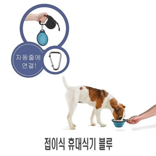 접이식 휴대식기 블루 1p 식기 그릇 급식기 반려견식, 1