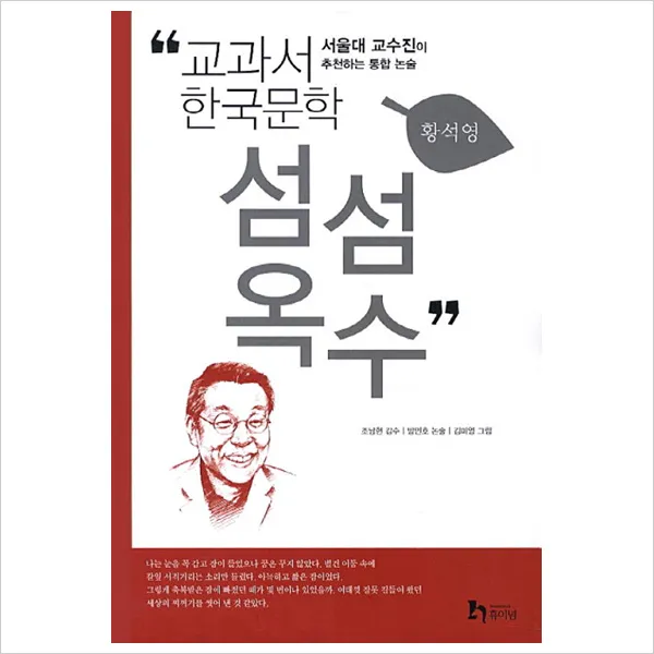 황석영 6 - 섬섬옥수, 휴이넘