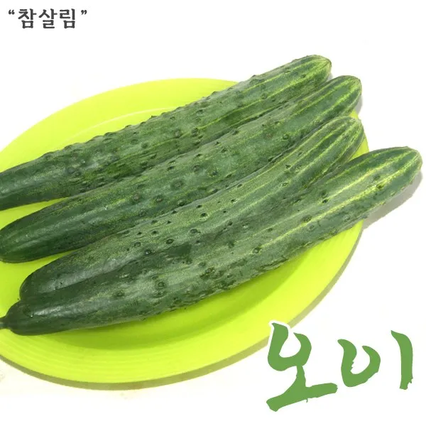 취청오이 특품, 3kg, 1박스