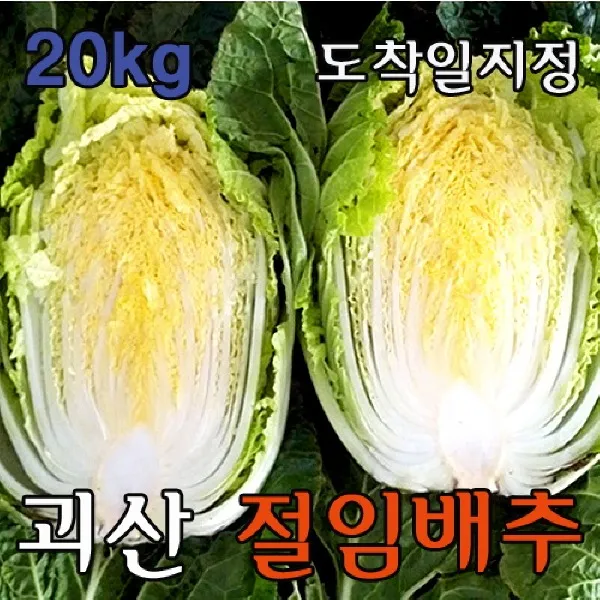 괴산절임배추 20kg 7~9포기 생산자직송, 01월25일금도착