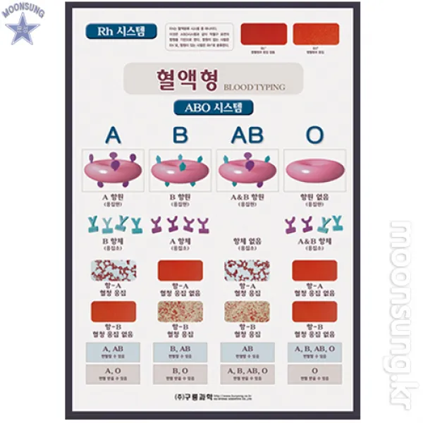 혈액형(챠트), 단일상품