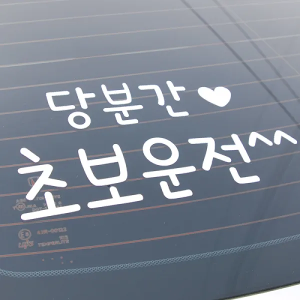 데코걸 당분간 초보운전 스티커