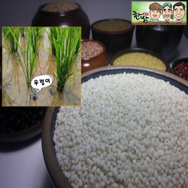 한땀 2019년산 국산 우렁이찹쌀 2kg 친환경농법 1개