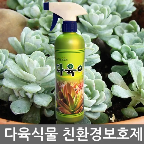 다육이 500ml 다육식물전용보호제 천연추출물로 사람 동물 환경에 무해, 다육이(500ml)