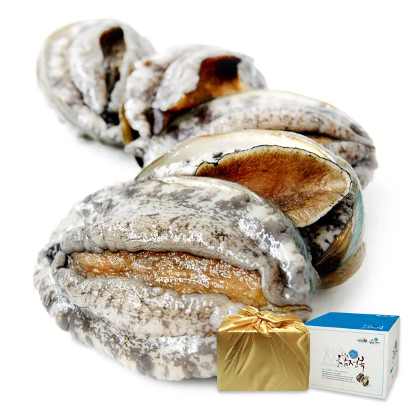 완도 참 전복 1kg 보자기 선물세트, 1세트, [왕특대] 참 전복 1kg(9-10마리)/보자기포장