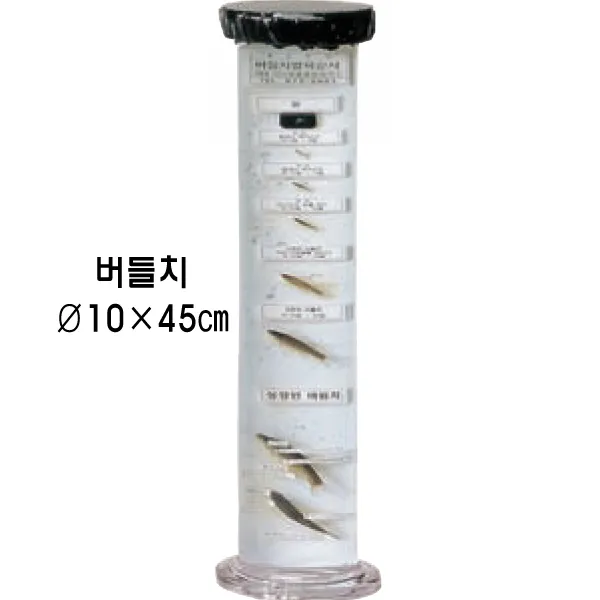 액침표본(동물발육순서) / 버들치, 1개