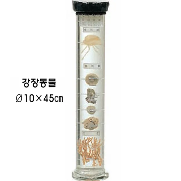 액침표본(동물)5 / 강장동물, 1개