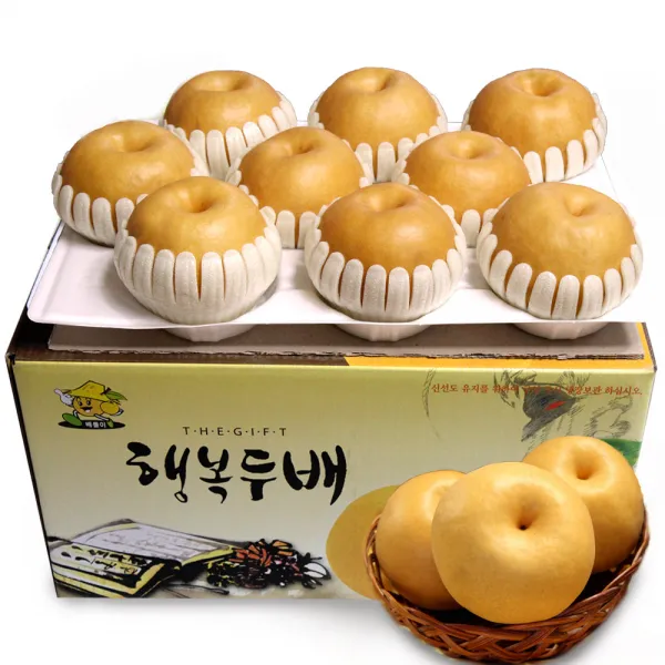 소담촌 2021 햇배(가정용/첫수확), 1박스, 15kg(31~35과)/중소과