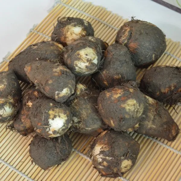 곡성 무농약 생 토란 1kg 깐토란, 1박스, 생토란 1kg