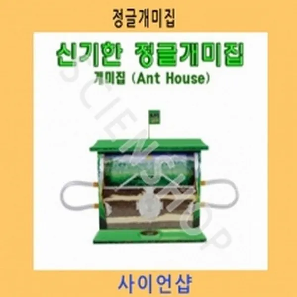 정글개미집