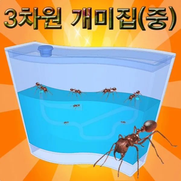 3차원 개미집(중)/STE, 단일 수량