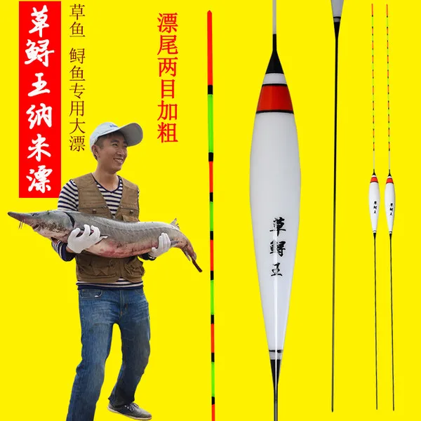 루이 표범 나노 미터 깊은 저수지 호수 긴 촬영 수레는 두 개의 실버 잉어와 자만심의 잉어 녹색 철갑 상어 눈에 띄는 굵은 꼬리를 표류, 철갑 상어 왕 잔디 (19) 메쉬_(12)