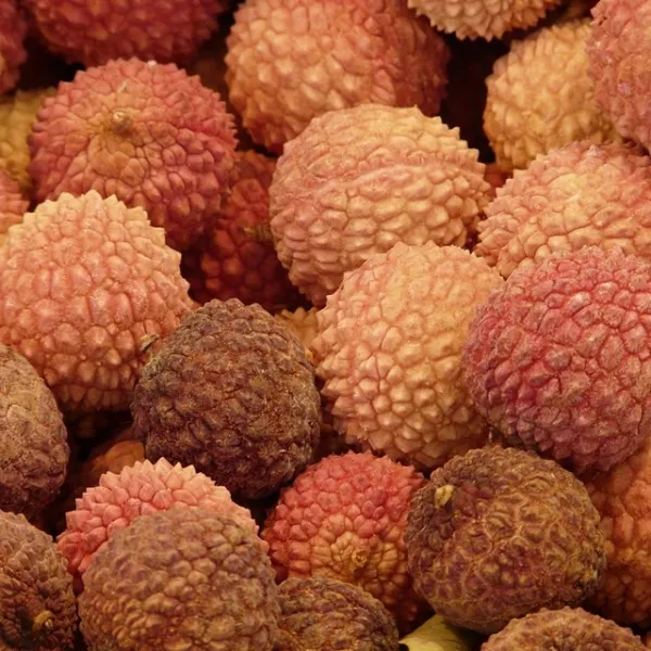 자연미가 리치 2kg(1kgx2ea) 냉동과일 냉동리치, 1개, 2kg