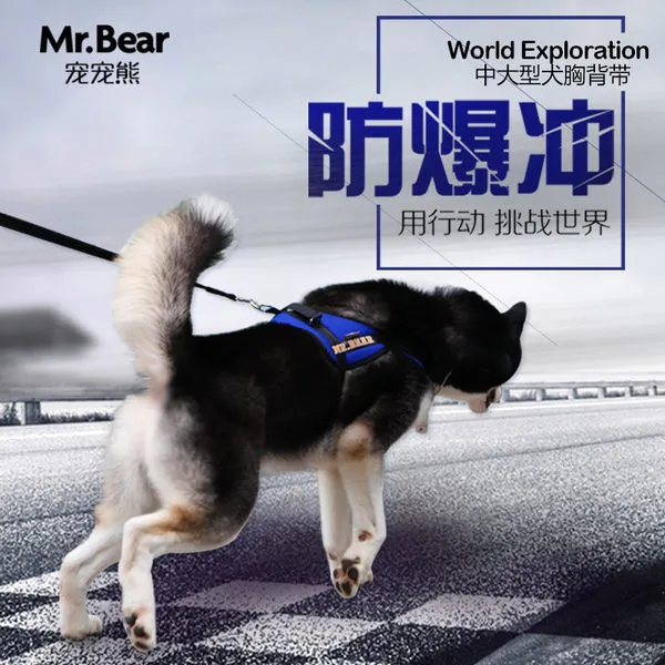 Mr.Bear 가죽 하니스 큰 가죽 스트랩 부담 애견 목줄, 딥 블루_XS- 가슴 40-50cm 무게 20-35kg (피사체가 파산하는!)
