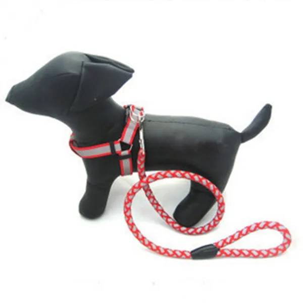 가죽 매체 큰 작은 테디 반사 가죽 슬링 애견 목줄, 푸른_제 바스트 36-54cm