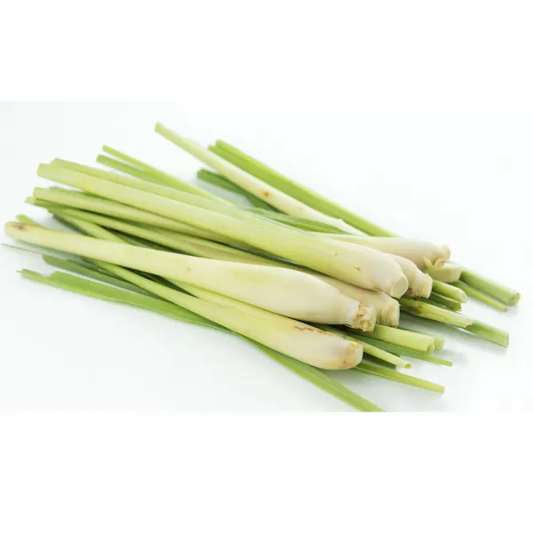 알라딘푸드 레몬그라스 1개 1kg