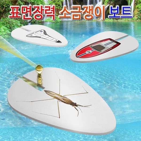 표면장력 소금쟁이보트(10인용), 고속보트10인용