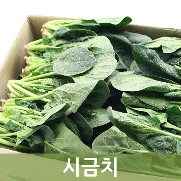 두리반농산 시금치 4kg, 1박스